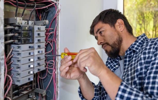 Best Electrician for Home Renovation  in Mamou, LA